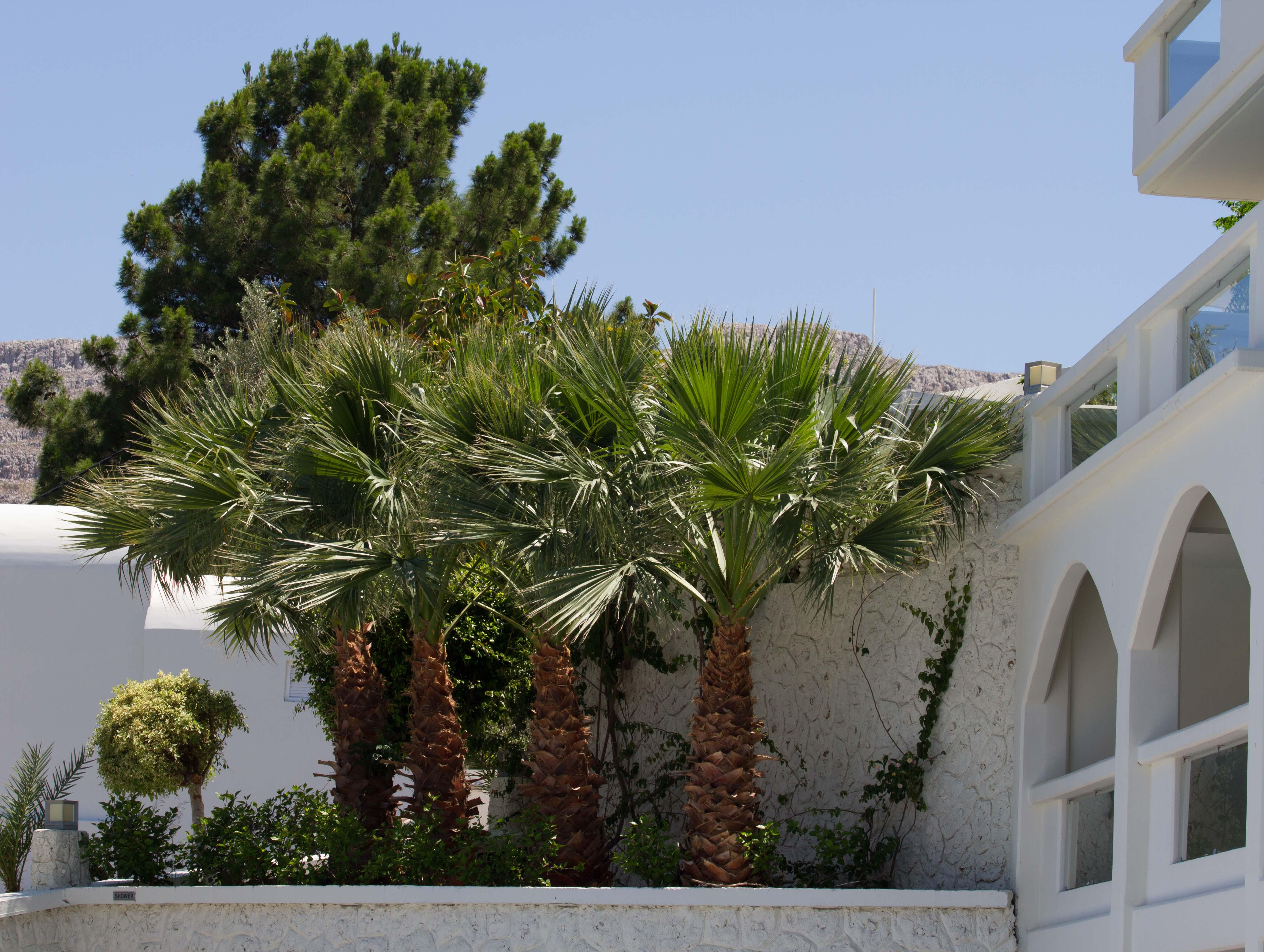 Lindos White Hotel&Suites Exterior foto
